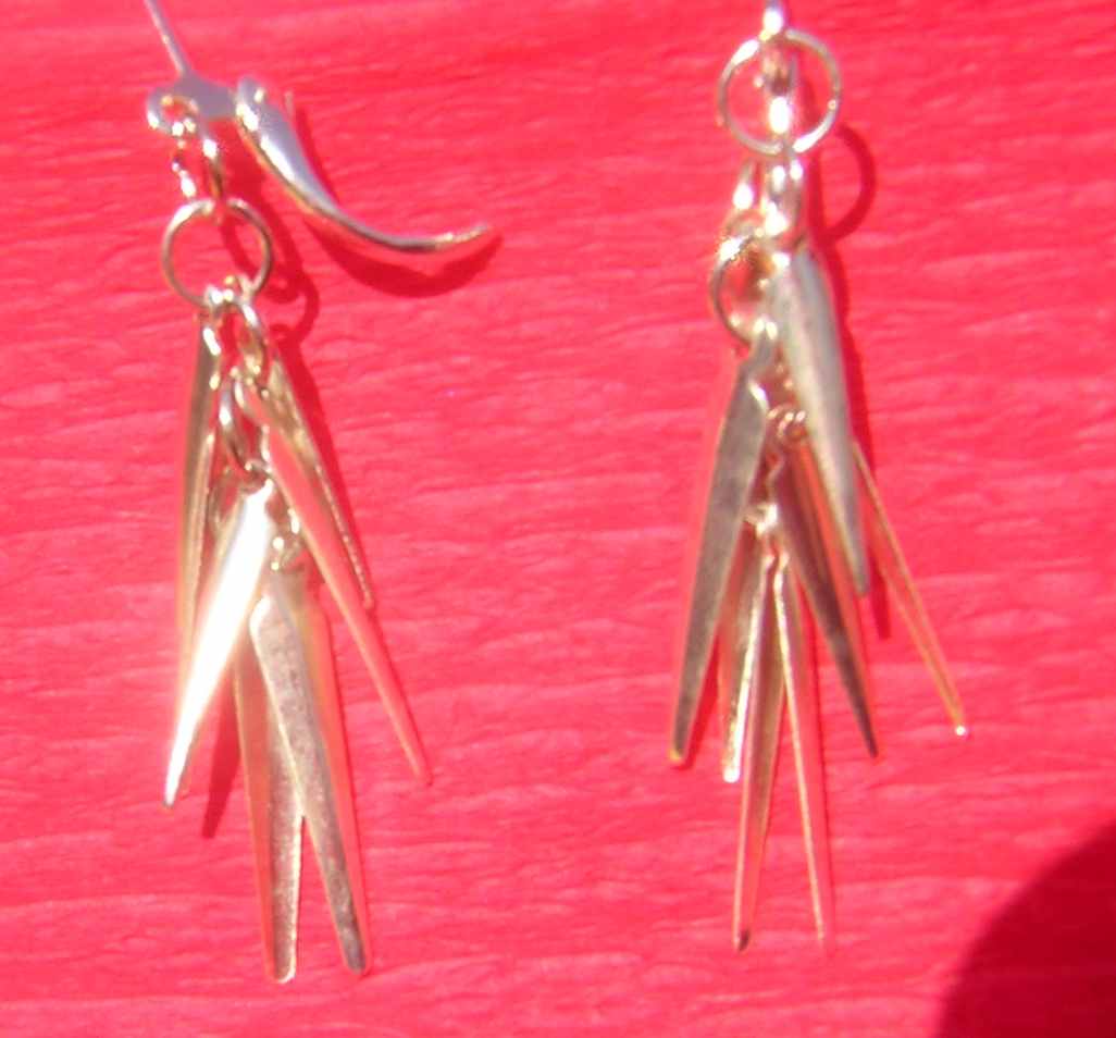 DSCN4590.JPG