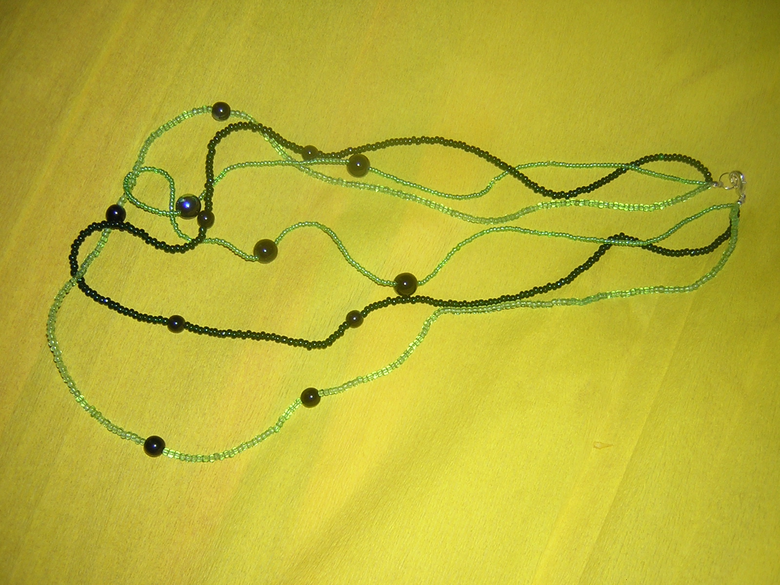 DSCN4569.JPG